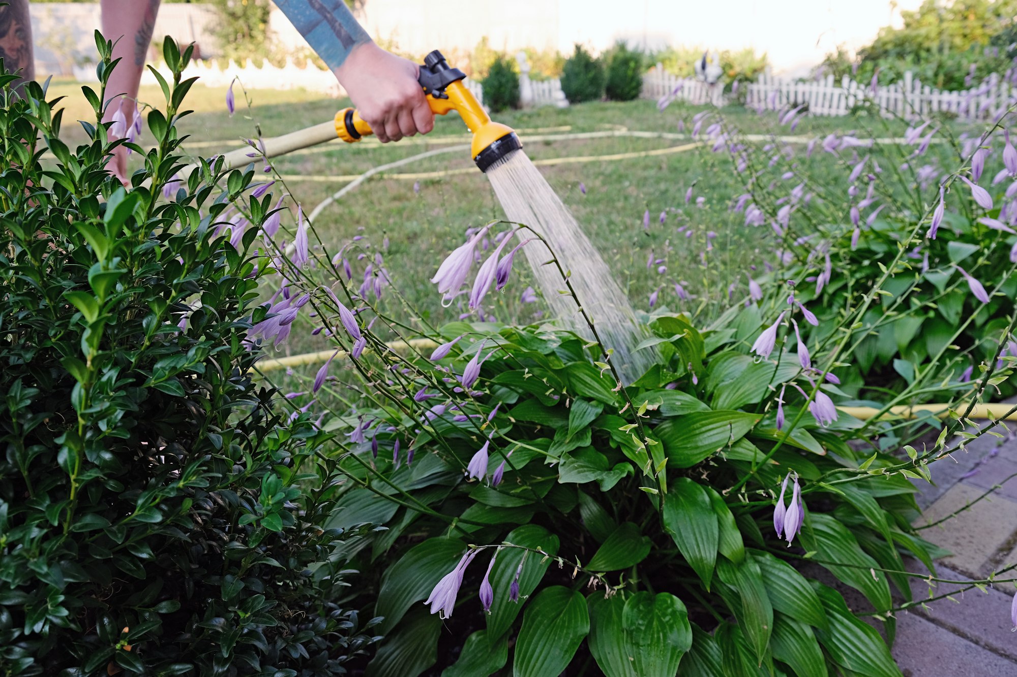 Garden work. Watering flowers. woman watering the garden